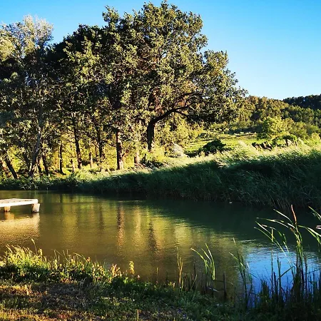 La Bastide Du Capelier - Gite Pour 4 Personnes Avec Baignoire Balneotherapie Salernes Exterior foto