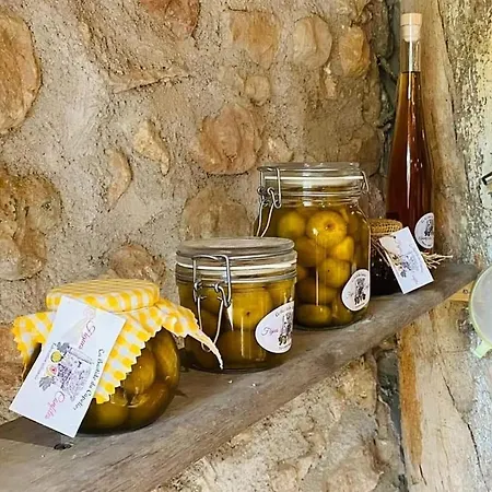 La Bastide Du Capelier - Gite Pour 4 Personnes Avec Baignoire Balneotherapie Salernes Exterior foto